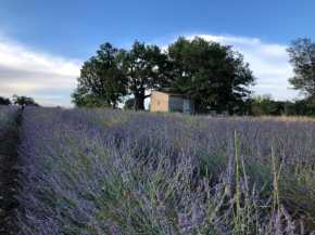 Cabanon du berger